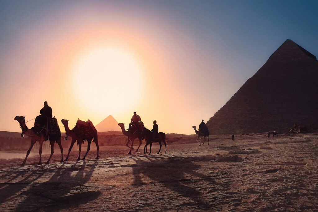 Camels crossing before the pyramids at sunset