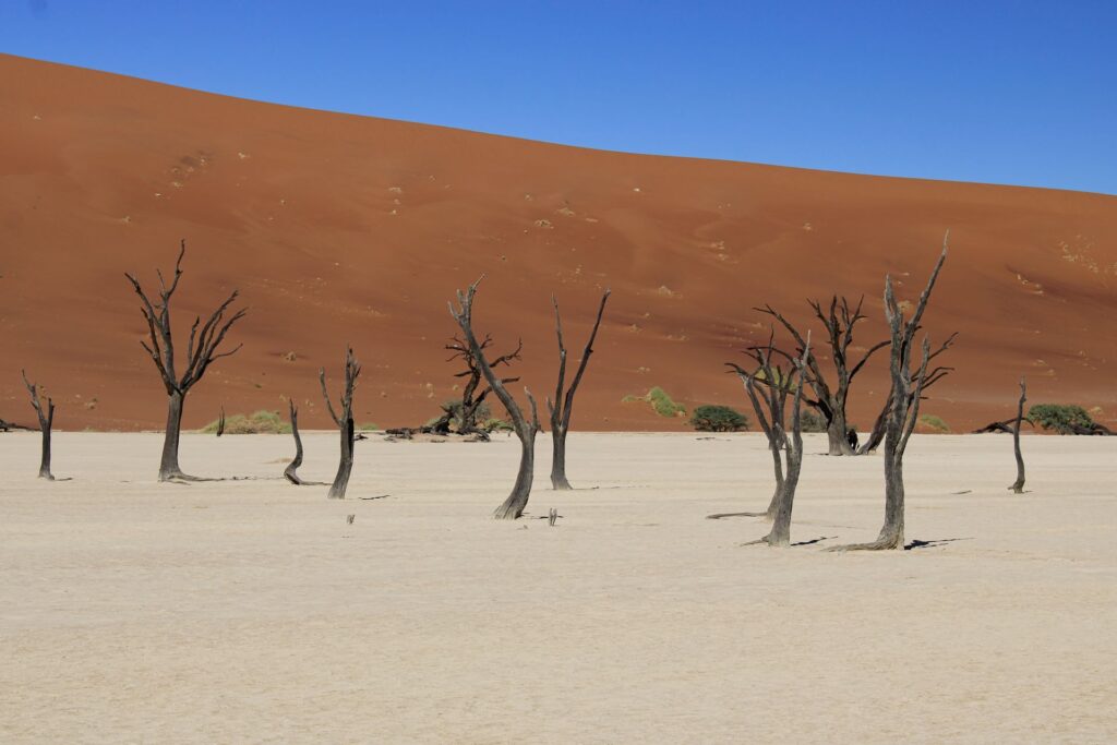 Deadvlei clay pan and dunes, Namibia